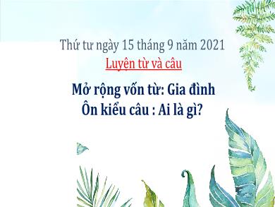 Bài giảng Luyện từ và câu 3 - Tuần 3, Mở rộng vốn từ: Gia đình. Ôn kiểu câu: Ai là gì? - Năm học 2021-2022