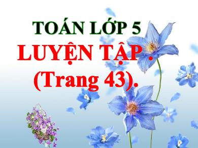 Bài giảng Toán 5 - Tuần 8, Bài: Luyện tập (Trang 43)