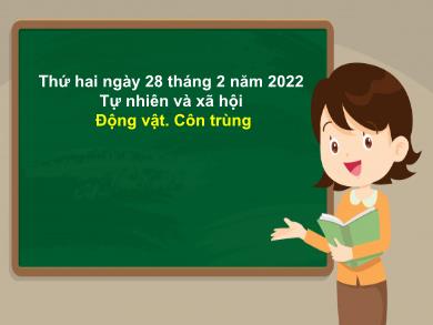 Bài giảng Tự nhiên xã hội 3 - Tuần 25, Bài: Động vật, côn trùng