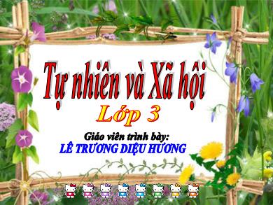 Bài giảng Tự nhiên xã hội 3 - Tuần 8, Bài 23: Phòng cháy khi ở nhà - Lê Trương Diệu Hương