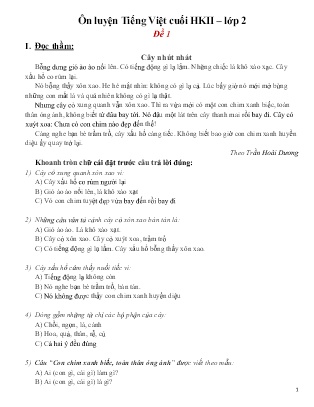 Bộ 10 đề ôn tập kiểm tra cuối kì II môn Tiếng Việt Lớp 2