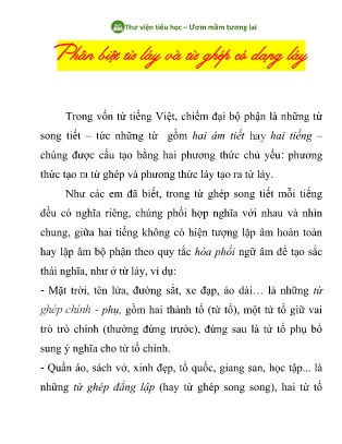 Ôn tập Tiếng Việt 4 - Chủ đề: Phân biệt từ láy và từ ghép có dạng láy