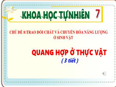 Bài giảng Khoa học tự nhiên Lớp 7 - Bài 18: Quang hợp ở Thực vật (3 tiết)