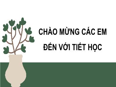 Bài giảng Toán Lớp 10 (Cánh Diều) - Chương IV - Bài 5: Tích của một số với một vectơ