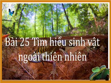 Bài giảng Khoa học tự nhiên Lớp 6 (Cánh diều) - Bài 25: Tìm hiểu sinh vật ngoài thiên nhiên