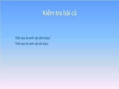 Bài giảng Khoa học tự nhiên Lớp 6 (Cánh diều) - Chủ đề 8: Đa dạng thế giới sống - Tiết 40, 41, 42. Bài 14: Phân loại thế giới sống