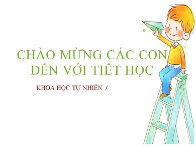 Bài giảng Khoa học tự nhiên Lớp 7 (Cánh diều) - Chủ đề 4: Tốc độ - Bài 7: Tốc độ của chuyển động