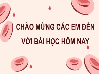 Bài giảng Khoa học tự nhiên Lớp 8 (Cánh diều) - Bài 31: Thực hành về máu và hệ tuần hoàn