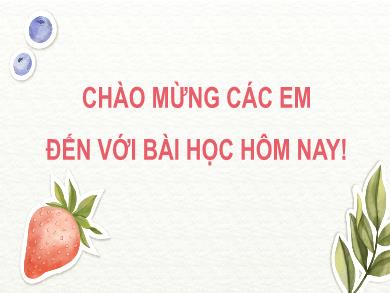 Bài giảng Mĩ thuật Lớp 6 (Cánh diều) - Bài 8: Vẽ mẫu có dạng khối cầu