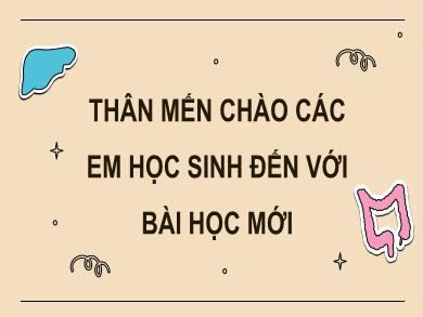 Bài giảng môn Khoa học tự nhiên Lớp 8 (Cánh diều) - Bài 28: Hệ vận động ở người