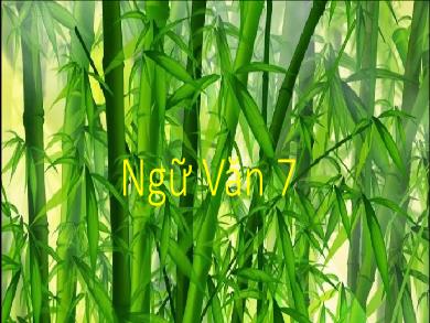 Bài giảng Ngữ văn Lớp 7 (Cánh diều) - Bài 9: Cây tre Việt Nam