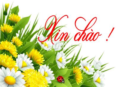 Bài giảng Ngữ văn Lớp 8 (Cánh diều) - Bài 8: Truyện lịch sử và tiểu thuyết - Đọc hiểu văn bản Quang Trung đại phá quân Thanh