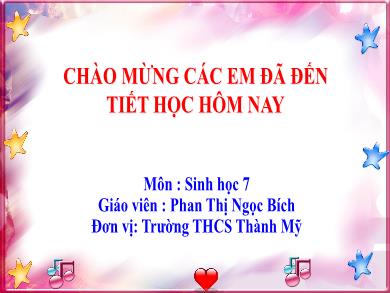 Bài giảng Sinh học Lớp 7 - Bài 46: Thỏ - Phan Thị Ngọc Bích