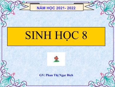 Bài giảng Sinh học Lớp 8 - Bài 16: Tuần hoàn máu và lưu thông bạch huyết - Phan Thị Ngọc Bích