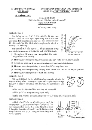 Đề thi chọn Đội tuyển Học sinh giỏi Quốc gia THPT môn Sinh học năm học 2024-2025 - Ngày thi 18/08 - Sở GD&ĐT Sóc Trăng (Có đáp án)