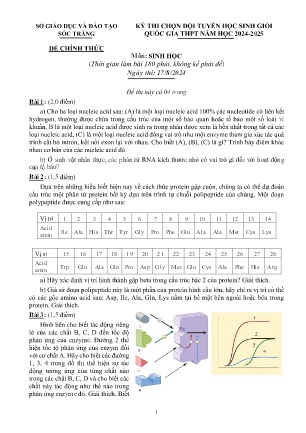 Đề thi chọn Đội tuyển Học sinh giỏi Quốc gia THPT môn Sinh học năm học 2024-2025 - Ngày thi 17/08 - Sở GD&ĐT Sóc Trăng (Có đáp án)