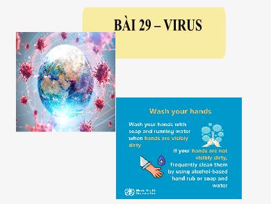 Bài giảng Khoa học tự nhiên 6 (Kết nối tri thức) - Bài 29: Virus
