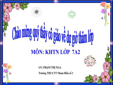 Bài giảng Khoa học tự nhiên 7 - Bài 27: Hô hấp - Phạm Thị Nga