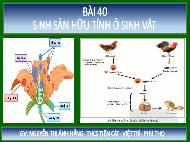 Bài giảng Khoa học tự nhiên 7 - Bài 40: Sinh sản hữu tính ở sin vật