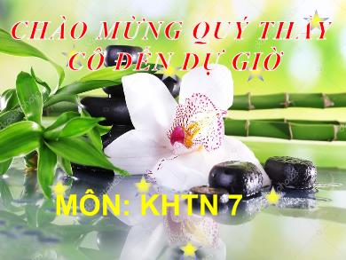 Bai giảng Khoa học tự nhiên 7 (Kết nối tri thức) - Đo tốc độ