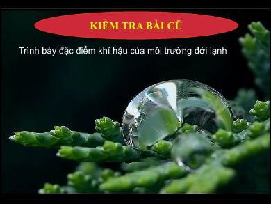 Bài giảng môn Địa lí 7 - Bài 23: Môi trường vùng núi (Tiết 25)