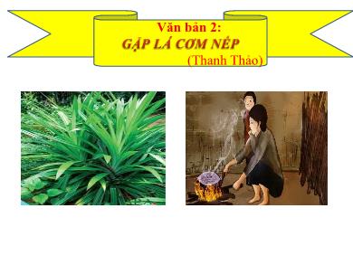 Bài giảng Ngữ văn 7 - Văn bản 2: Gặp lá cơm nếp