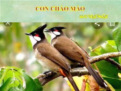Bài giảng Ngữ văn 8 - Bài 3: Con chào mào