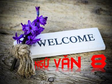 Bài giảng Ngữ văn 8 - Thực hành thuyết minh phương pháp (Cách làm)