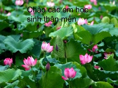 Bài giảng Ngữ văn 9 - Tiết 61: Chơi chữ