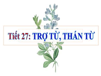 Bài giảng Ngữ văn Lớp 8 - Bài 6: Trợ từ, thán từ
