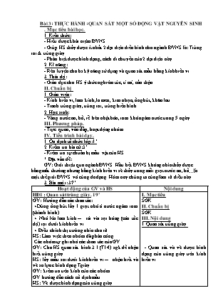 Bài giảng Sinh học 7 - Bài 3: Thực hành: Quan sát một số động vật nguyên sinh