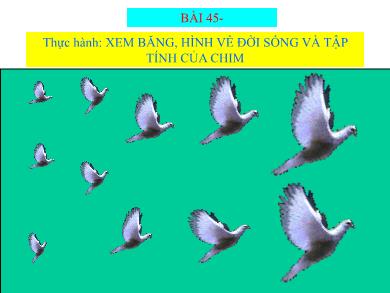 Bài giảng Sinh học 7 - Đời sống và tập tính của chim