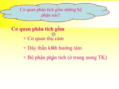 Bài giảng Sinh học 8 - Bài 51: Cơ quan phân tích thính giác (Tiết 36)