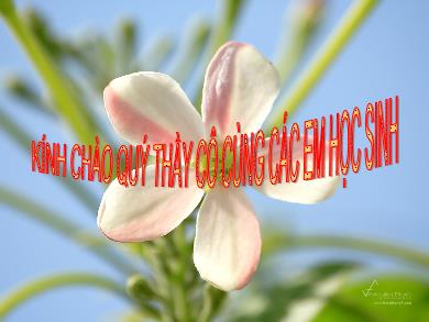 Bài giảng Sinh học 8 - Chương IX: Thần kinh và giác quan - Tiết 45: Giới thiệu chung hệ thần kinh