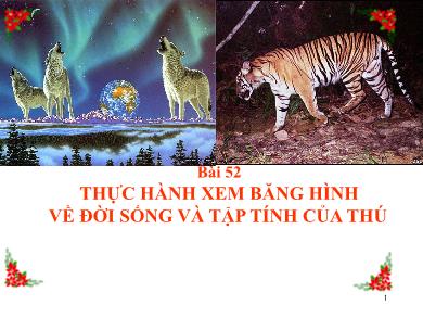 Bài giảng Sinh học Lớp 7 - Bài 52: Thực hành: Xem băng hình về đời sống và tập tính của Thú