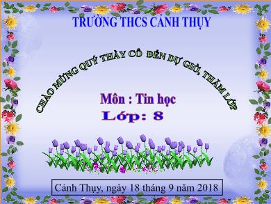 Bài giảng Tin học 8 - Bài 3: Chương trình máy tính và dữ liệu (Tiết 8) - Năm học 2018-2019 - THCS Cảnh Thụy
