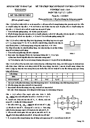 Đề thi chọn học sinh giỏi văn hóa cấp Tỉnh môn Vật lí 9 - Năm học 2018-2019 - SGD Bắc Giang