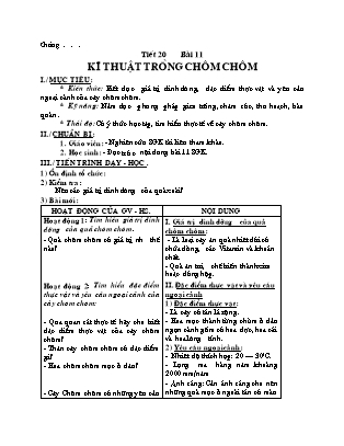 Giáo án Công nghệ 9 - Bài 11: Kĩ thuật trồng chôm chôm (Tiết 20)
